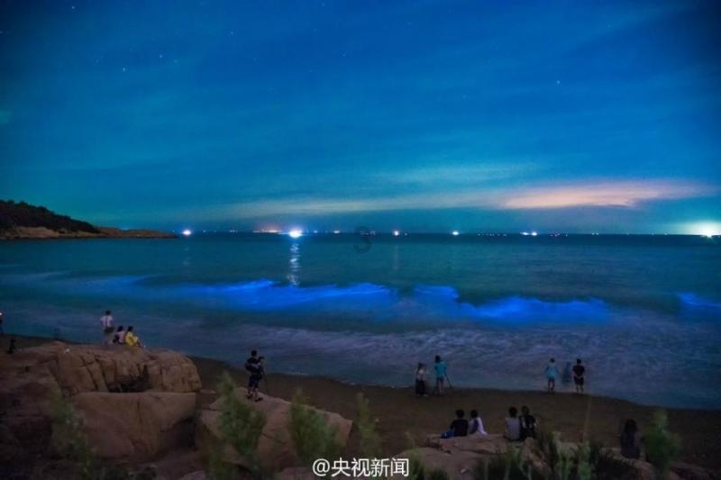 嘉日单词