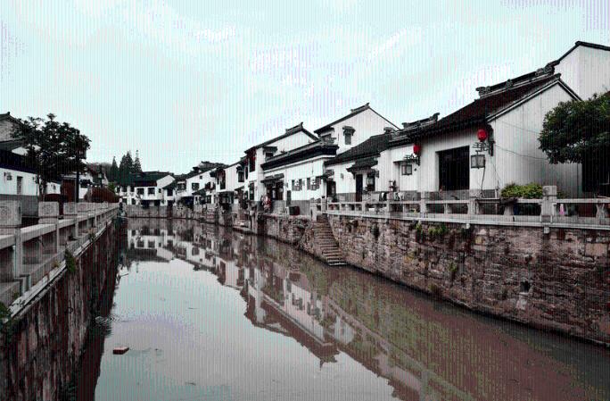 为什么一用盖碗就手抖？新手泡茶的5大状况，有没有你踩过坑的？